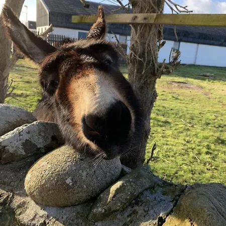 Holiday home Croi Na Coille 3 Bedroom Country House *